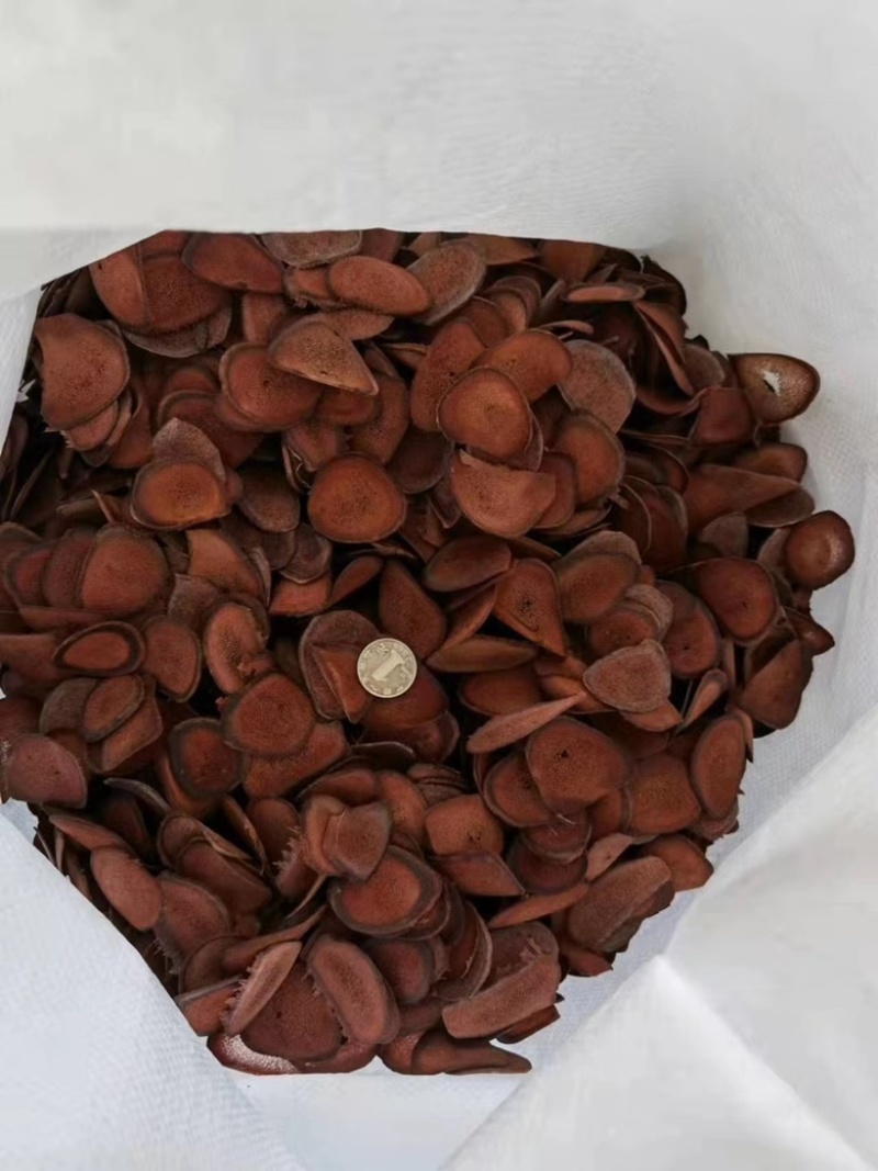 鹿茸片