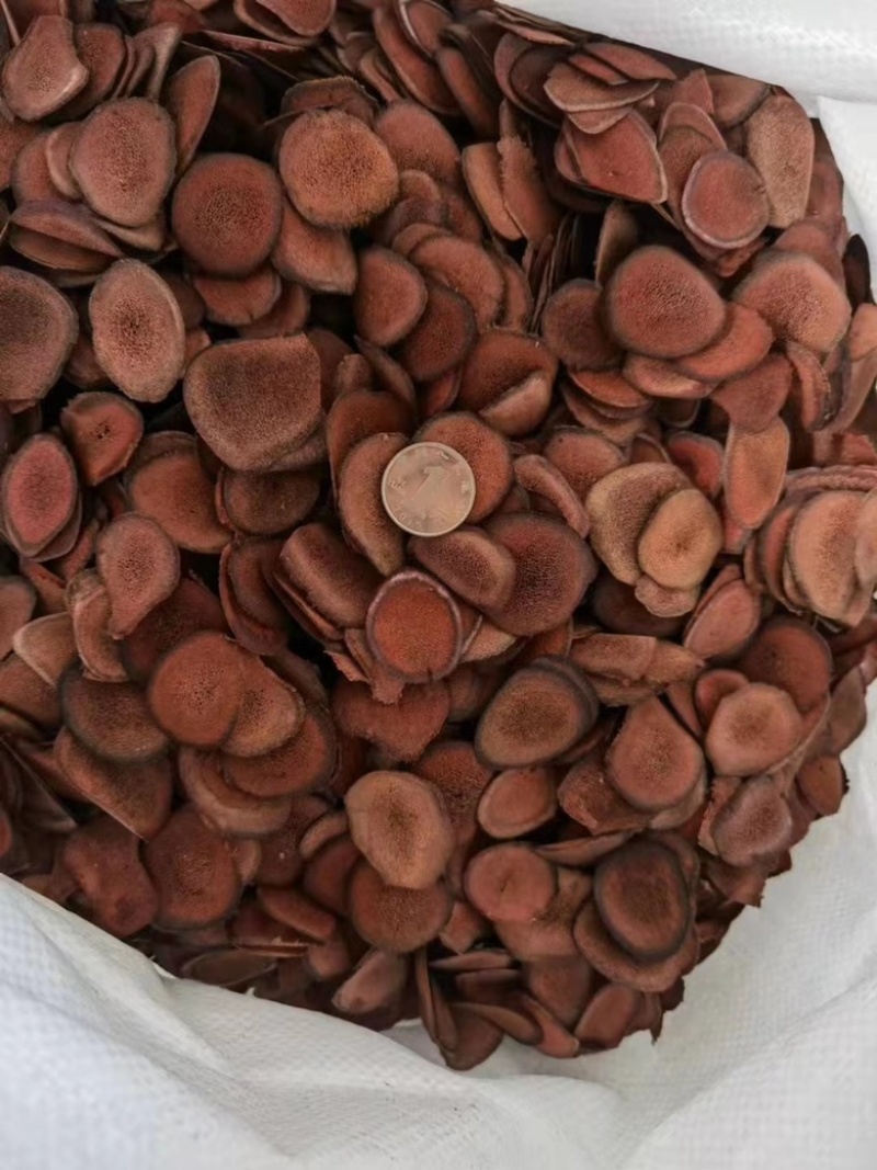 鹿茸片