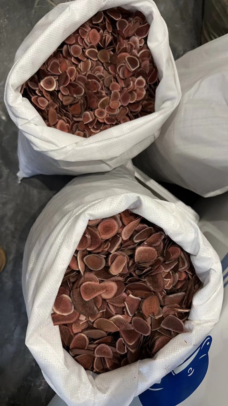 鹿茸片