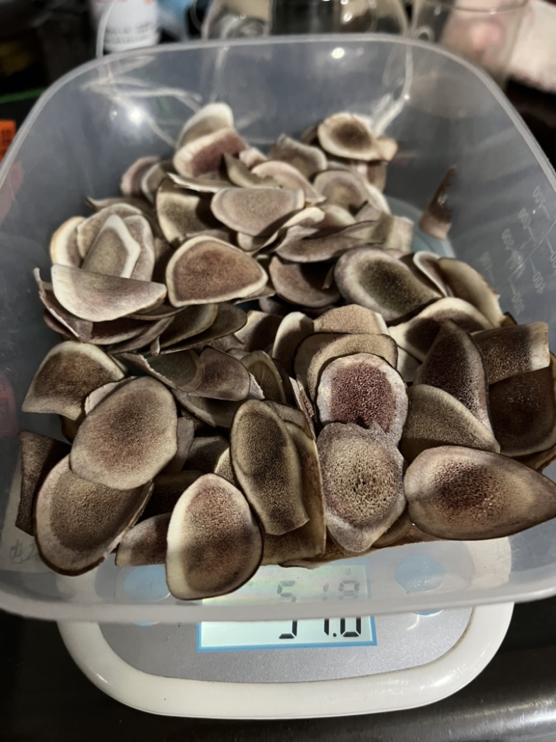 鹿茸片