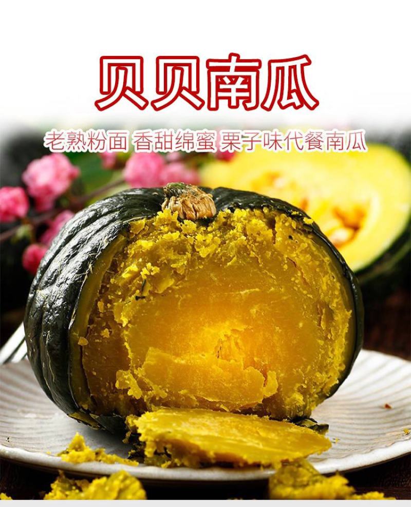 山东正宗贝贝南瓜板栗南瓜一件代发