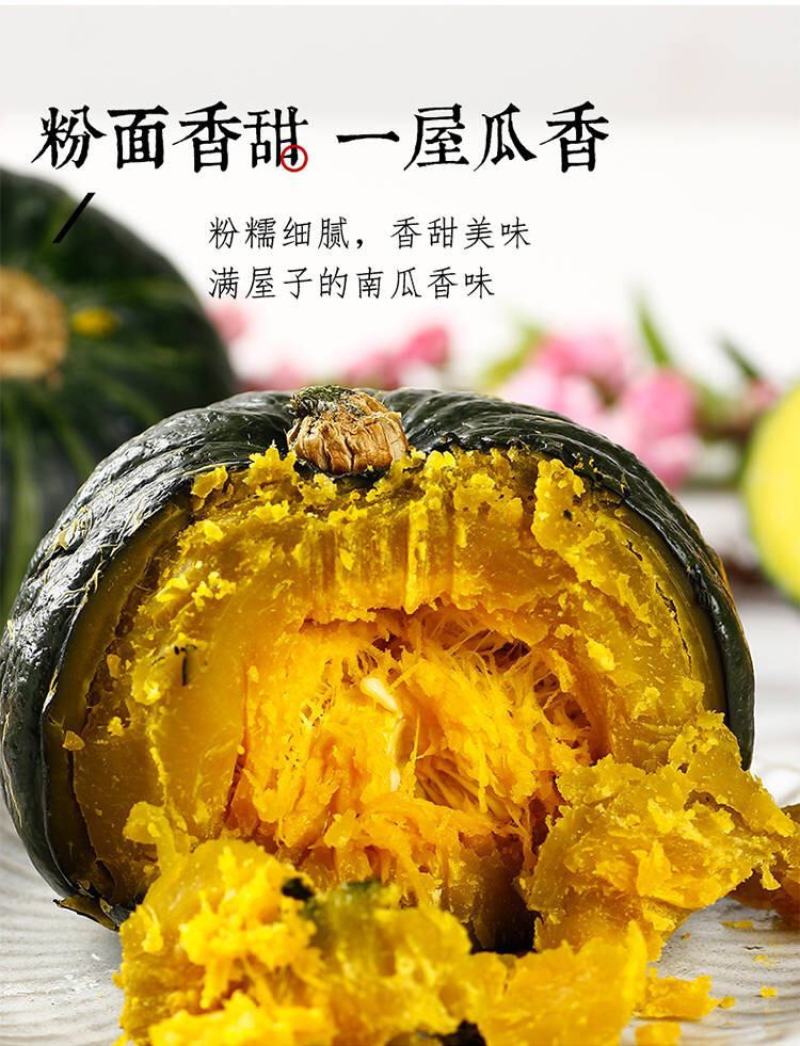 山东正宗贝贝南瓜板栗南瓜一件代发