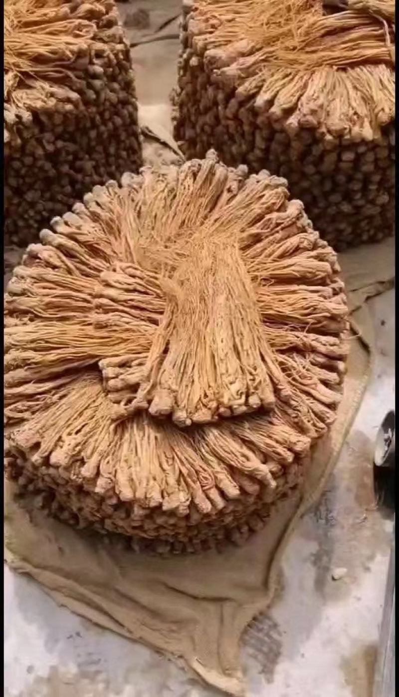 精品甘肃岷县当归，产地直供，货源充足，规格齐全，欢迎客商