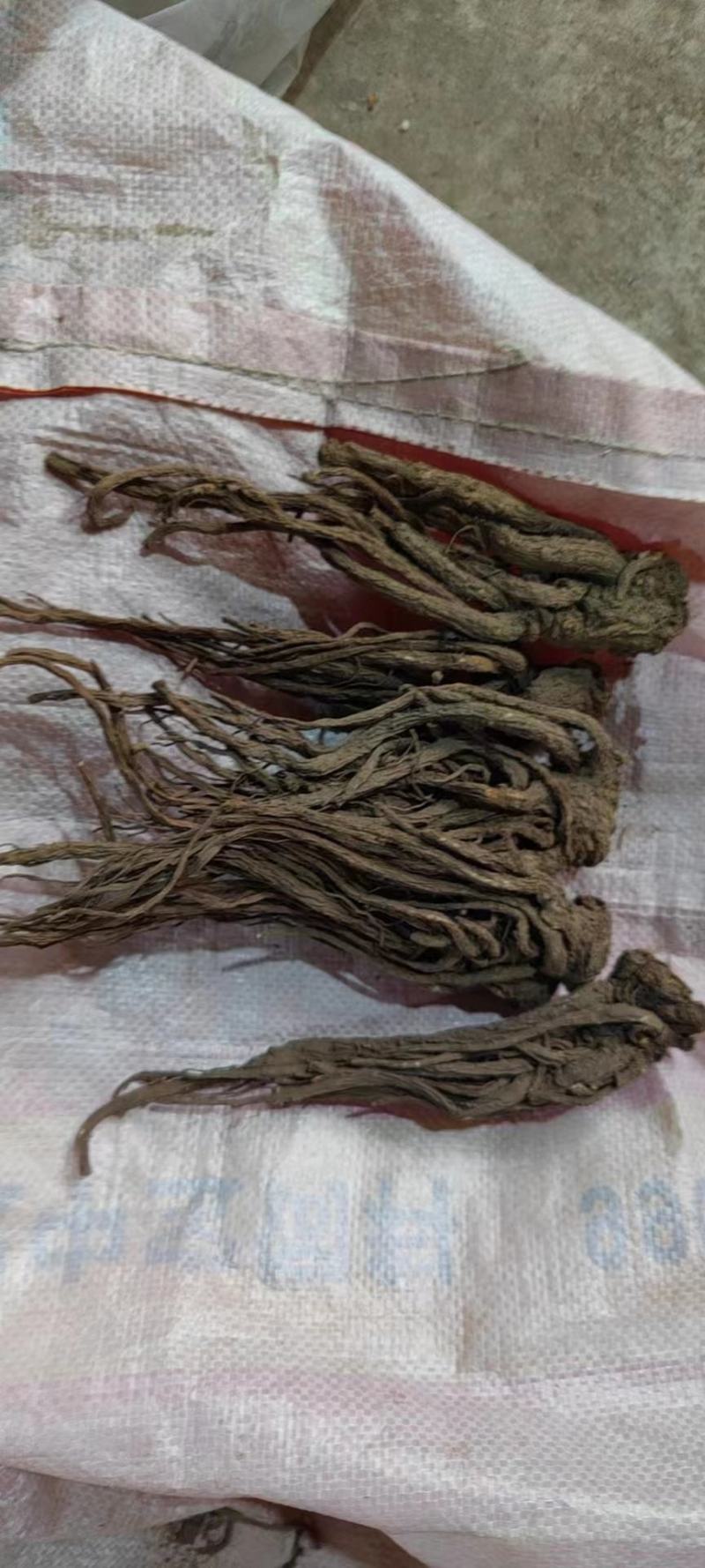 精品甘肃岷县当归，产地直供，货源充足，规格齐全，欢迎客商