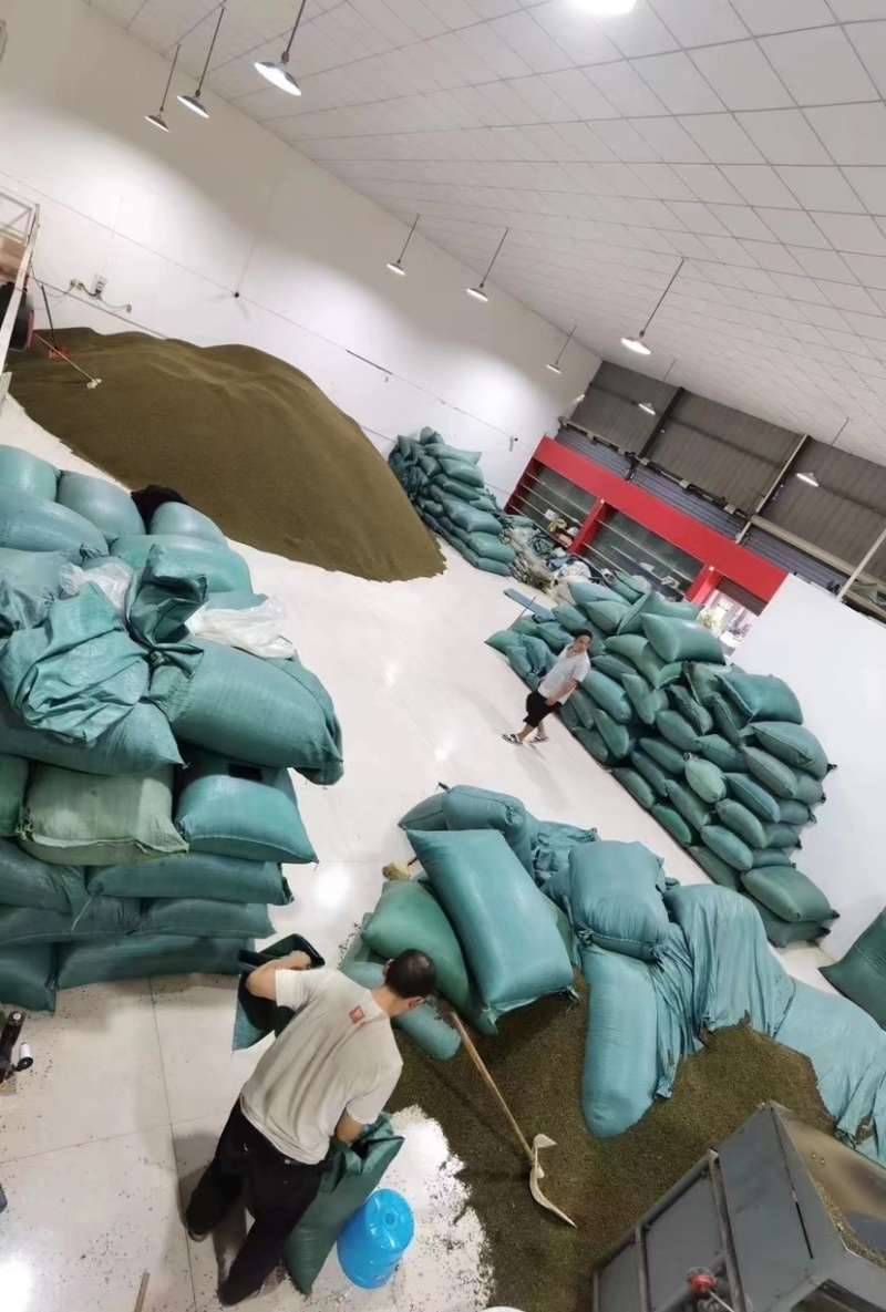 金阳青花椒产地直销售薄利多销诚信经营