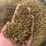 金阳青花椒产地直销售薄利多销诚信经营