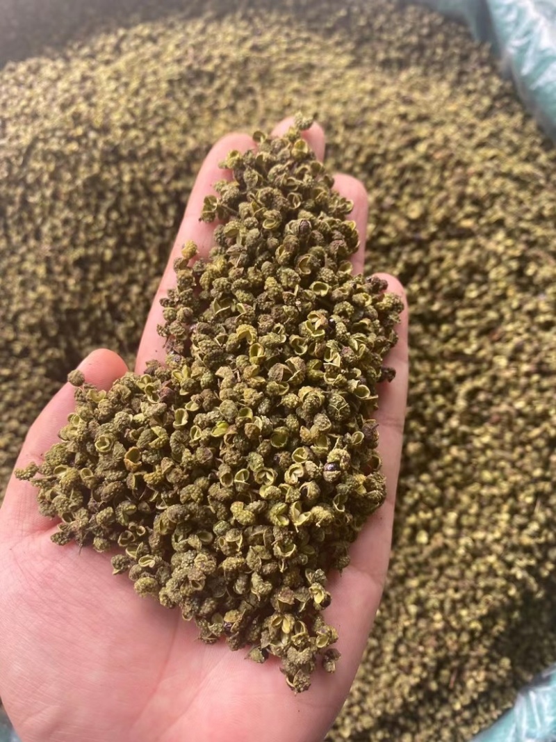 金阳青花椒产地直销售薄利多销诚信经营