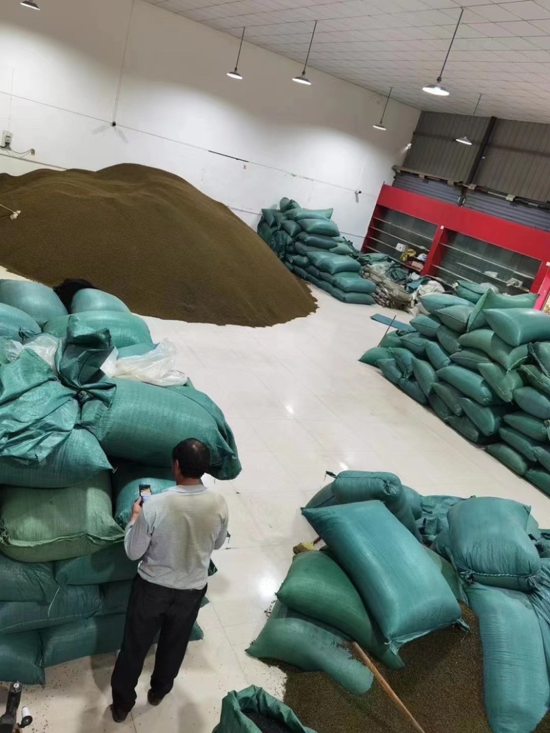 金阳青花椒产地直销售薄利多销诚信经营