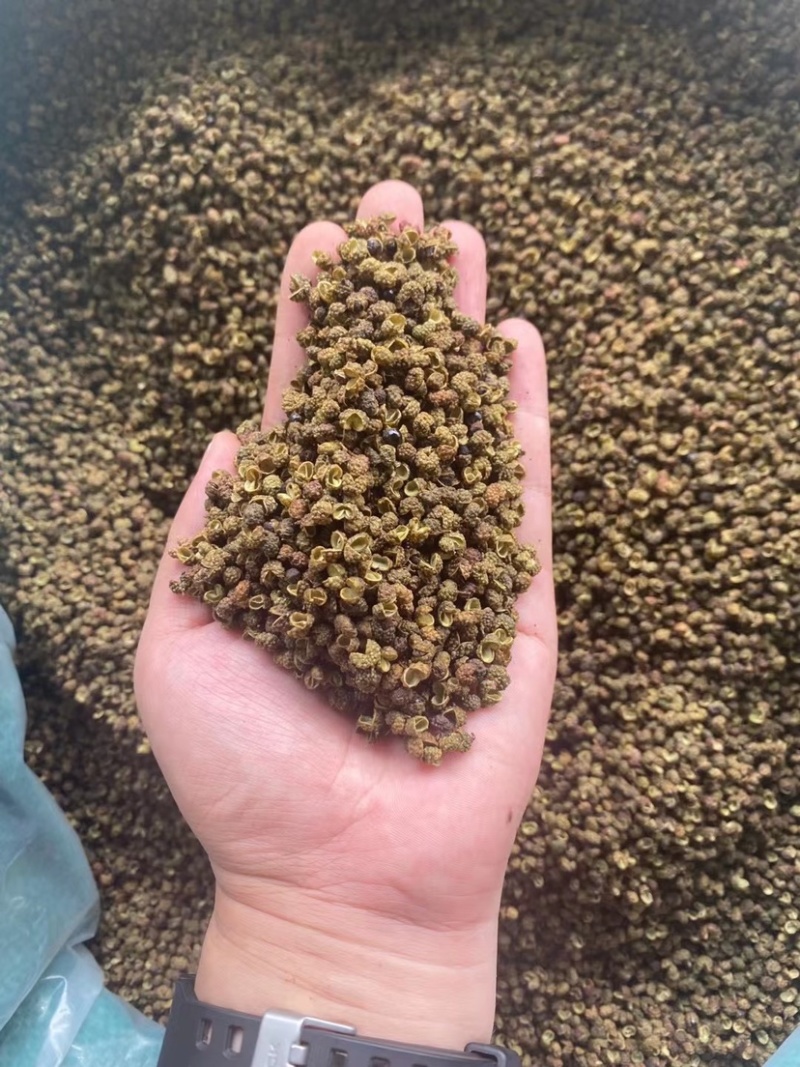 金阳青花椒产地直销售薄利多销诚信经营