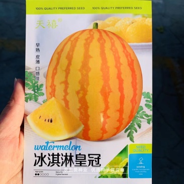 口感好入口即化冰淇淋皇冠西瓜种子黄皮黄瓤礼品西瓜种子皮薄