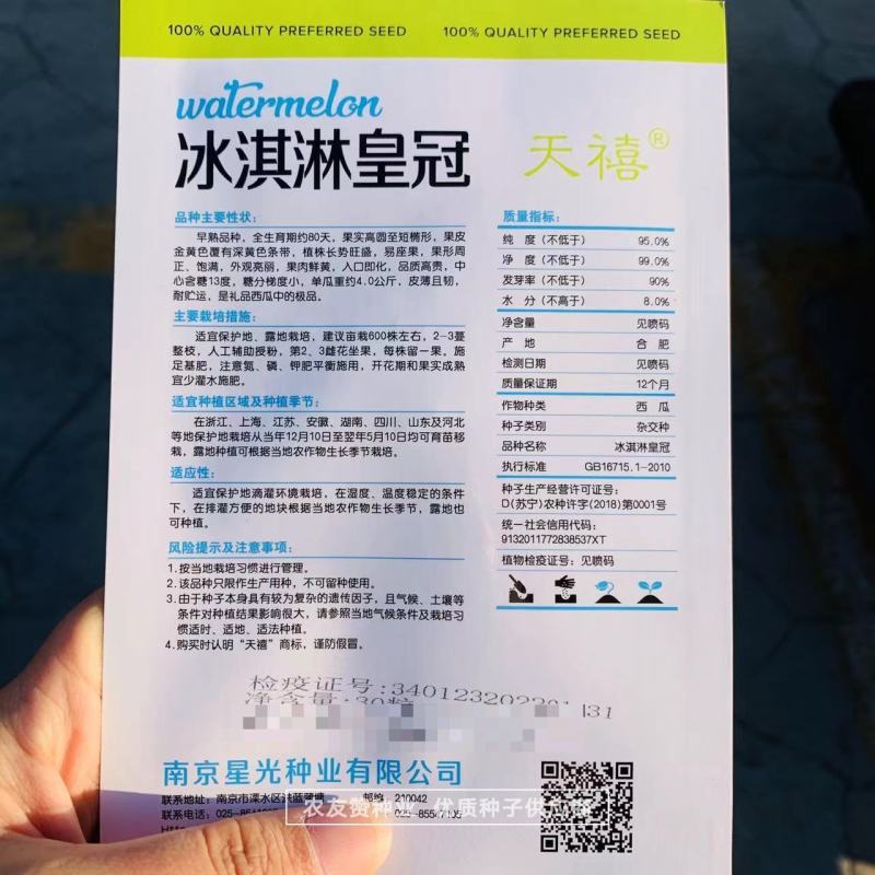 口感好入口即化冰淇淋皇冠西瓜种子黄皮黄瓤礼品西瓜种子皮薄