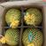 攀枝花西瓜，甜王西瓜，产地直发批发包熟包甜质量保证