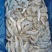 虾海虾河虾箱装散冻全规格量大从优