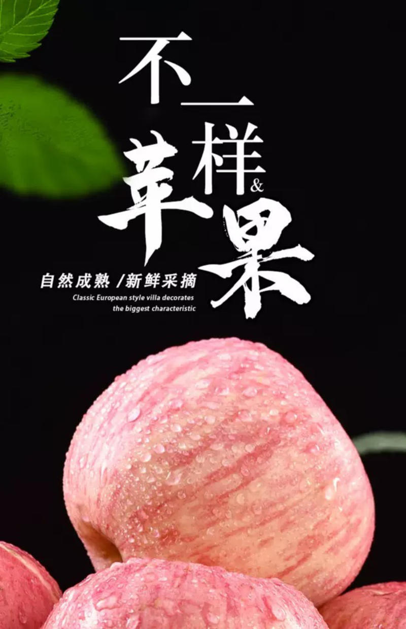 山东精品红富士苹果口感甜脆一手货源大量现货价格便宜