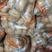 荷兰十五精品土豆现货供应批发市场餐饮食堂全国发货