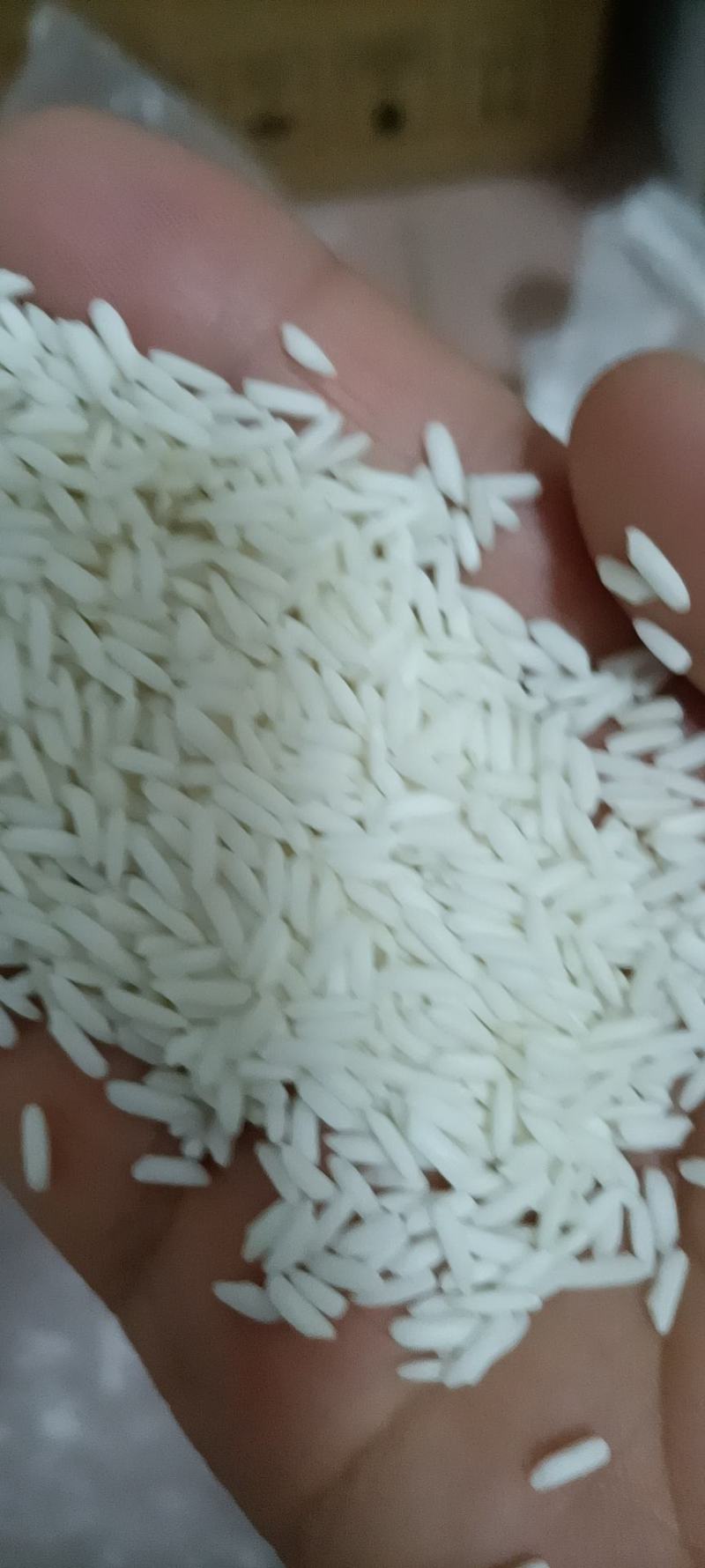 泰国糯米