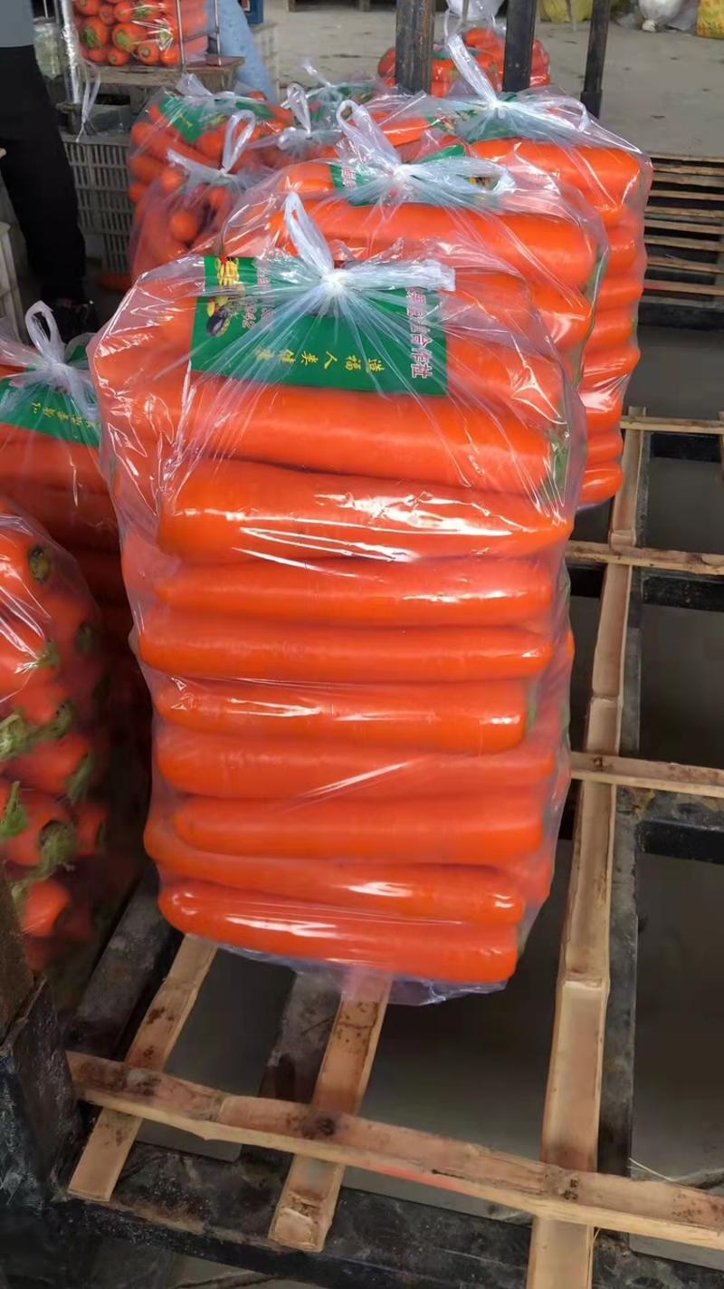 胡萝卜规格齐全品质保证产地直发可视频看货欢迎咨询