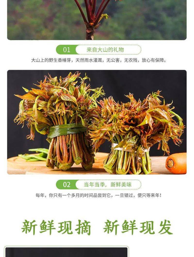 23年香椿芽嫩芽陕西新鲜香椿头产地直供一件代发