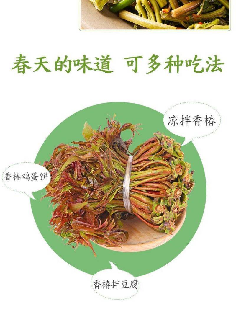 23年香椿芽嫩芽陕西新鲜香椿头产地直供一件代发