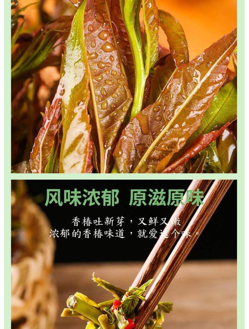 23年香椿芽嫩芽陕西新鲜香椿头产地直供一件代发