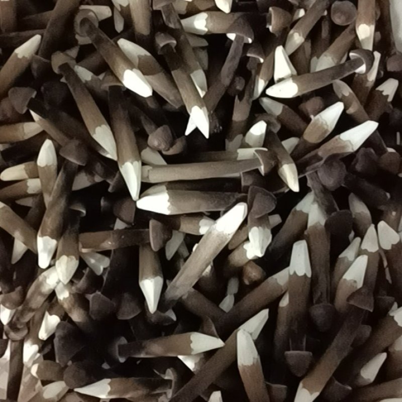 常年种植黑皮鸡枞菌，基地直发，一手货源，可全发货，