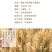 山东纯手工馒头老面大馒头早餐包子方便面食馍馍不加糖包邮