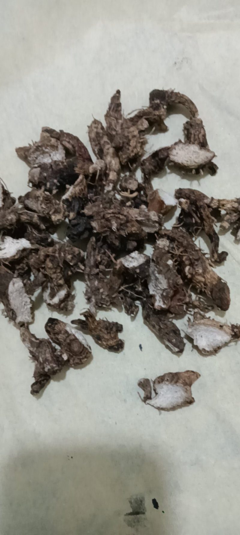 品质保证正宗白芨随时有货超高性价比**抢购