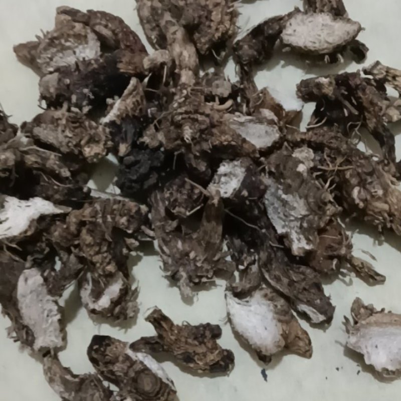 品质保证正宗白芨随时有货超高性价比**抢购
