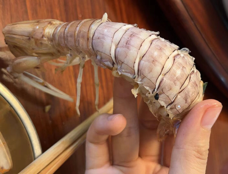 皮皮虾膏虾肉虾熟冻皮皮虾北部湾产地一手货源量大批发