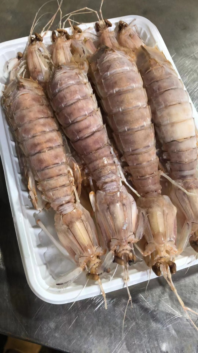 皮皮虾膏虾肉虾熟冻皮皮虾北部湾产地一手货源量大批发