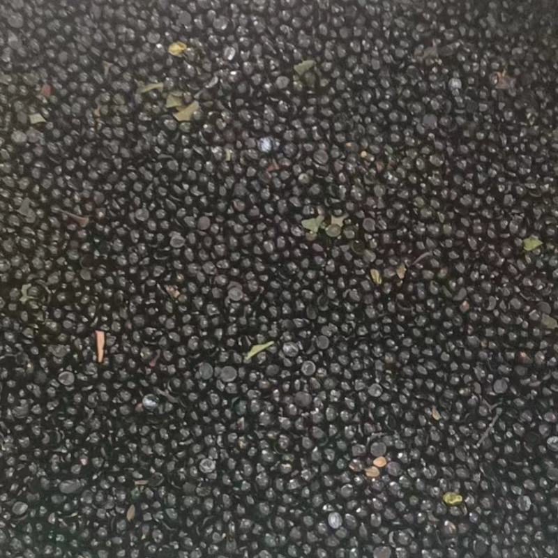 青花椒籽