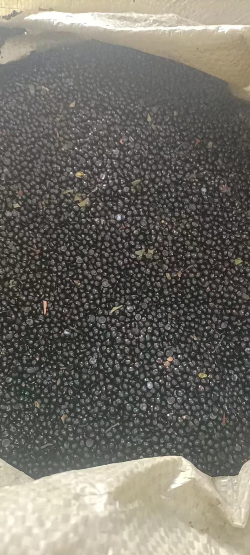 青花椒籽