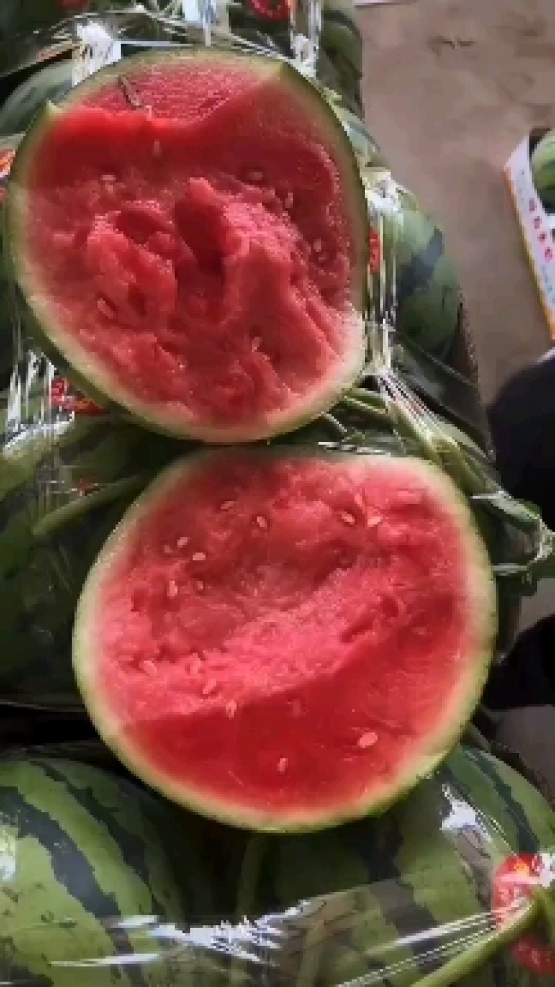 精品西瓜苗，纯度高，质量好，技术指导，包产品回收