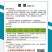 黄皮尖椒种子理想大果型