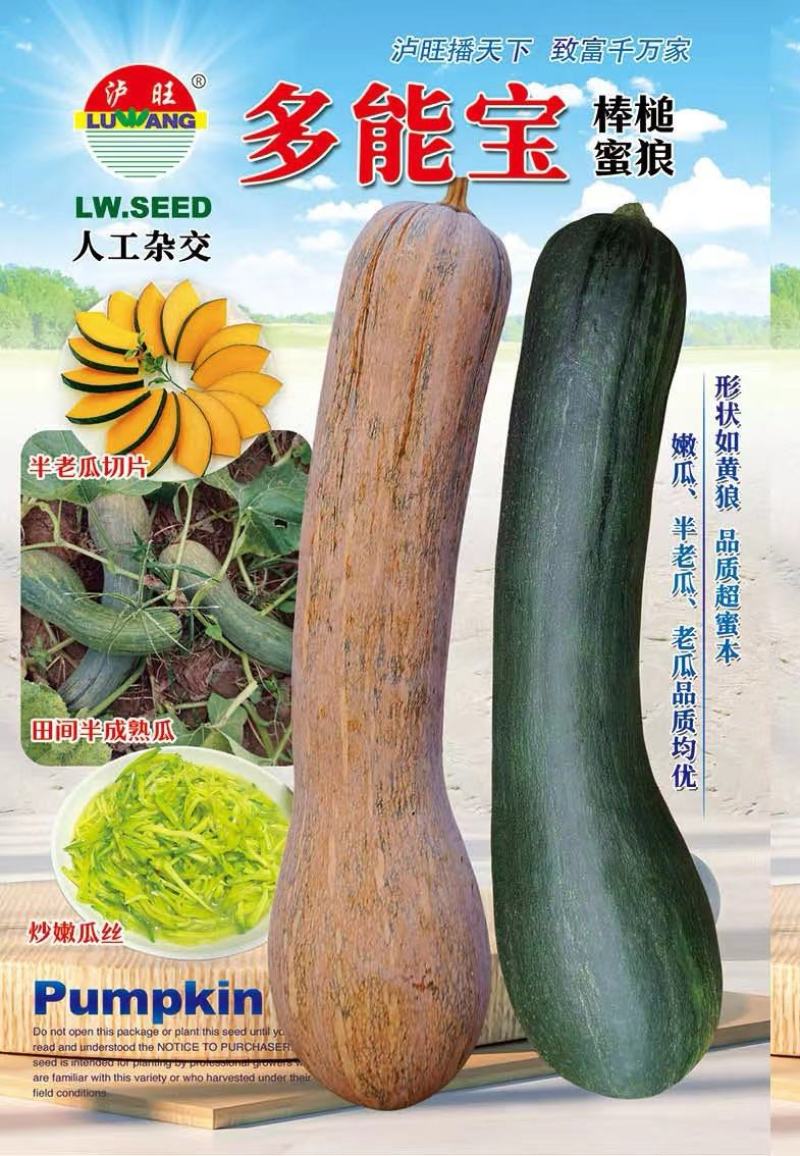 南瓜种子多能宝新育成口感型黑皮南瓜品种嫩瓜老瓜均好吃