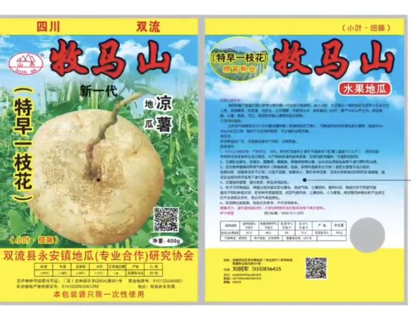 地瓜种子牧马山地瓜种子改良早熟一号地瓜凉薯脆甜肉雪白