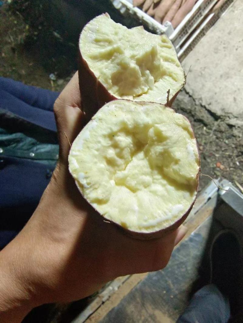山西运城红薯，秦薯，一支香，干面无丝，没有虫眼。