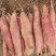 山西运城红薯，秦薯，一支香，干面无丝，没有虫眼。