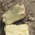 山西运城红薯，秦薯，一支香，干面无丝，没有虫眼。