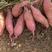 西瓜红，紫薯，万亩基地，对接各大电商，市场