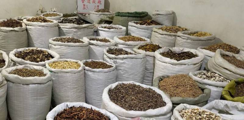 中药材贯众绵马贯众绵马贯众统片产地四川省