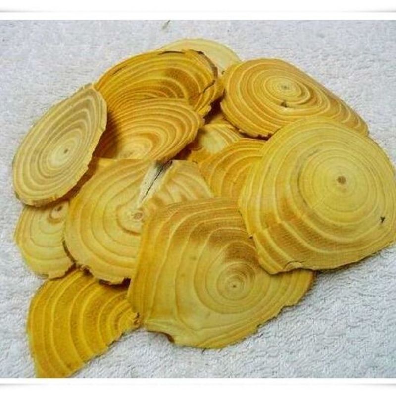 松节干货油松节片欢迎选购！量大从优！