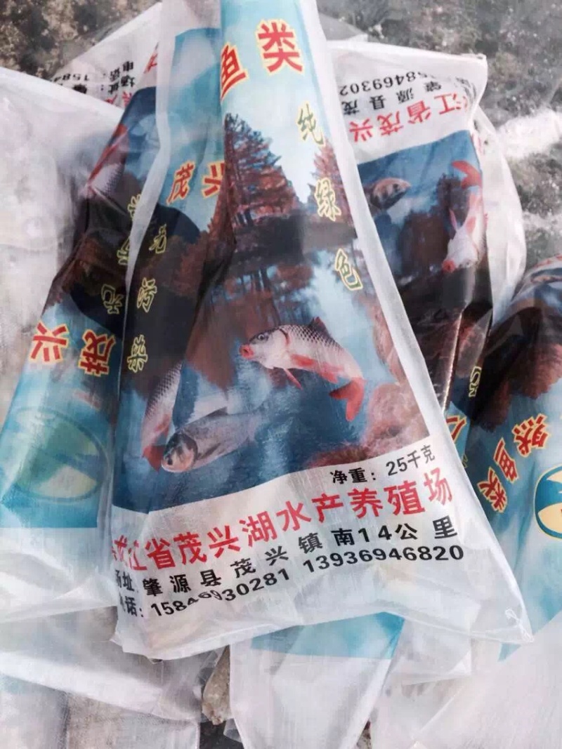 【精选】优质供货电商，白鲢鱼，黑龙江大庆，自家养殖，价优