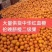秭归中华红血橙脆甜一手货源看园采果品质保证价格从优
