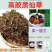 。仙人草。凉粉草。龟苓膏配料