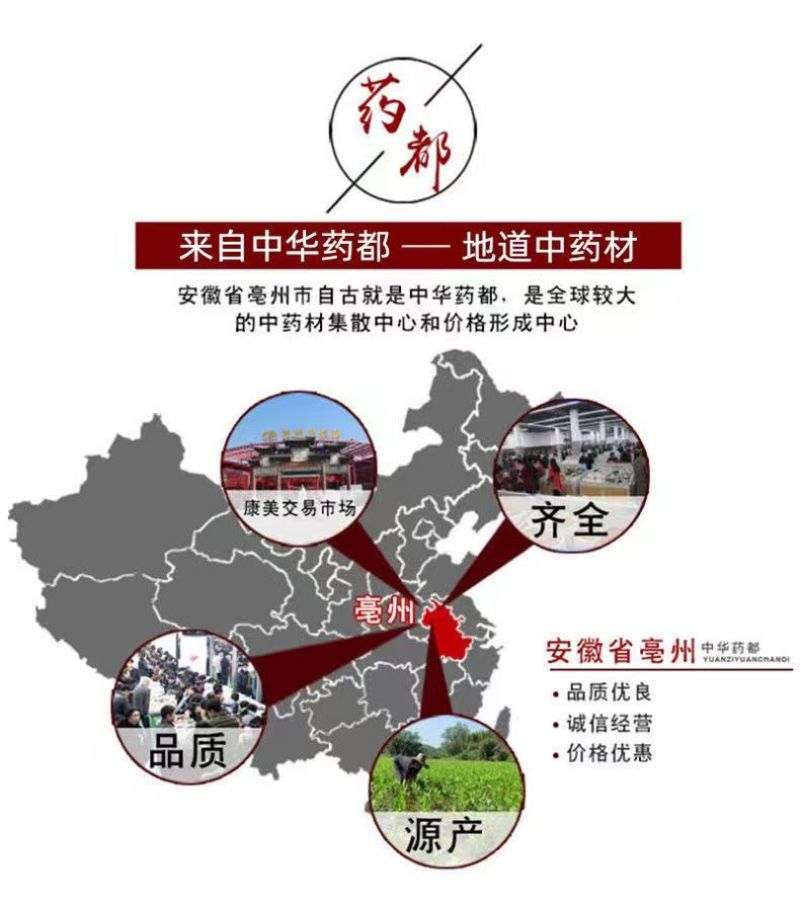 苍耳子中药材内蒙古道地药材中药大全矿石大全冷背大全