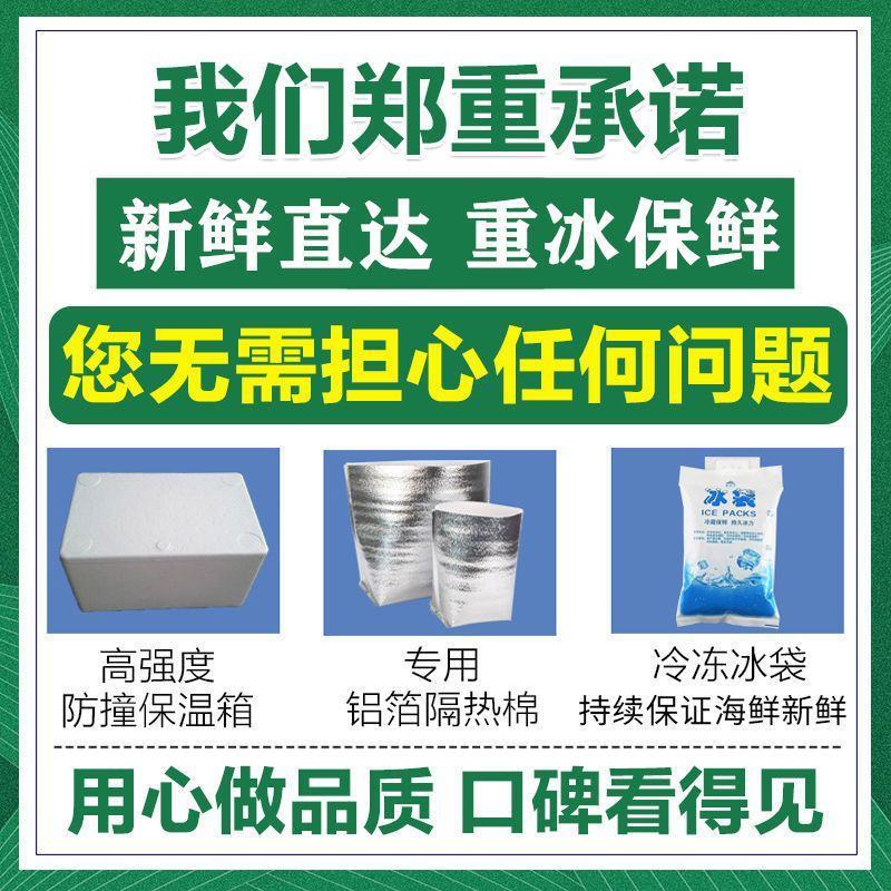 羊杂一套5斤快递包邮