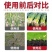 矿源黄腐酸钾母液水溶肥料冲施肥生根壮苗改良土壤调解土壤