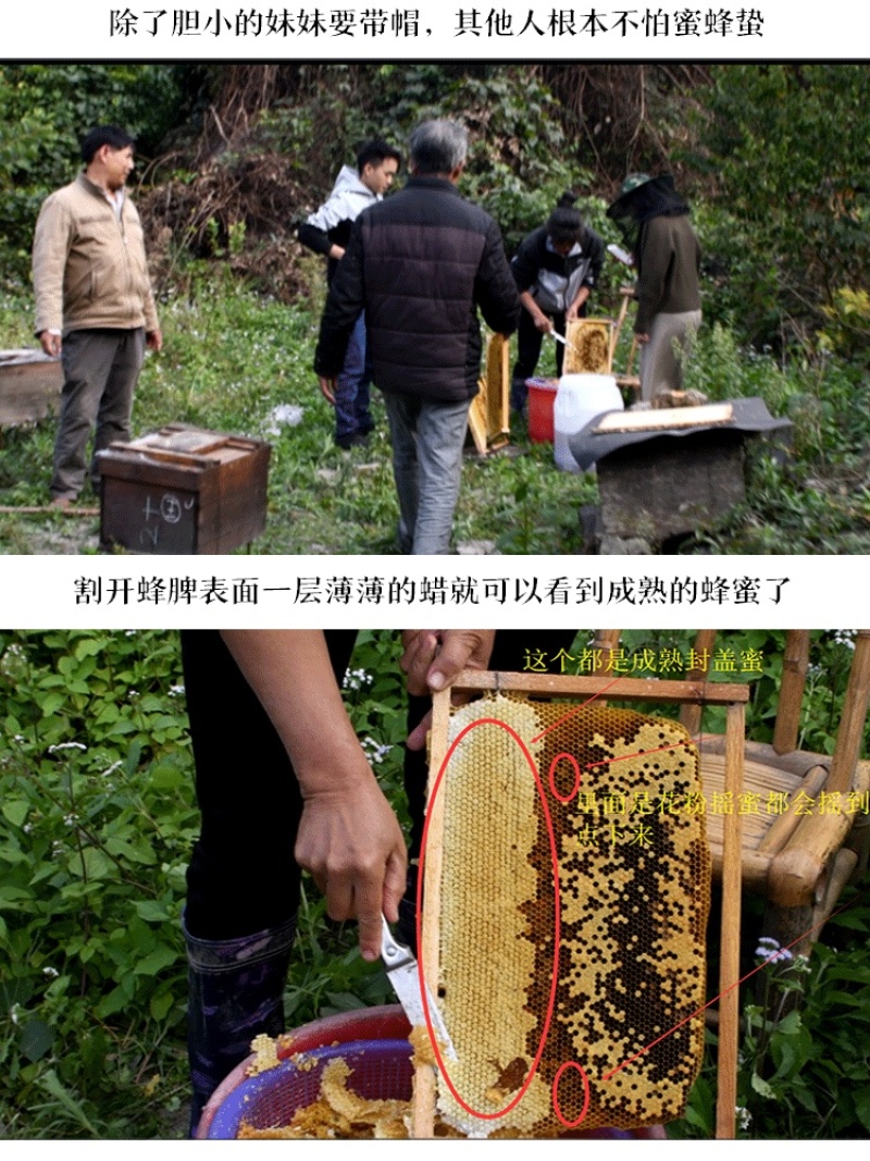 原生态零添加零污染农家自产自销土蜂蜜正宗包邮