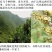 原生态零添加零污染农家自产自销土蜂蜜正宗包邮